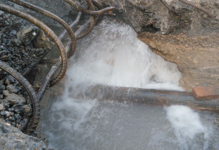 1766455880536778_1658478160510211.jpg 1658478160510211.jpg