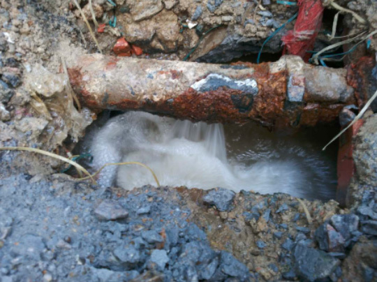 1658805034407607.jpg 0112f607-23d0-451b-8def-71aa313dc622.jpg