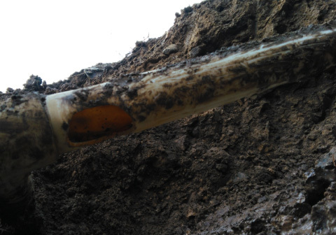 1658806253965586.jpg cdf1f945-3cc8-4089-ad73-07038aa7a3ea.jpg